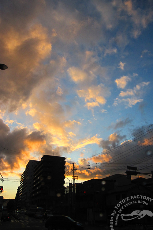 三寒四温　御天気雨_a0034287_1931025.jpg