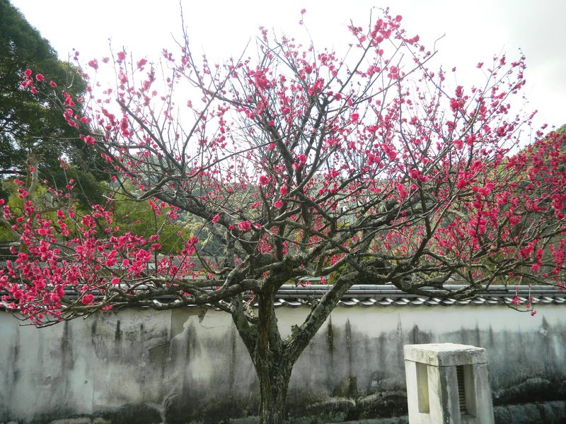 c0193187_2317313.jpg