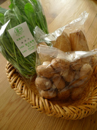 芦屋プリンと有機野菜_b0142989_1814534.jpg