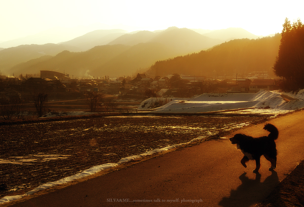 朝陽差す冬の終わりの散歩道_a0111190_1001550.jpg