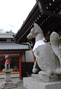 b0191693_1338498.jpg
