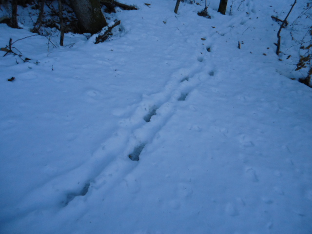 c0099395_8521046.jpg