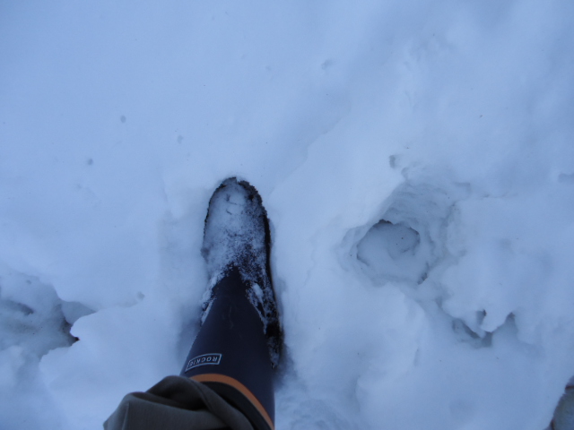 c0099395_854857.jpg