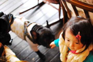 f0136098_3555985.jpg