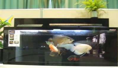 店舗販売だけでは食べていけないので副業してますw_a0193105_4143198.jpg