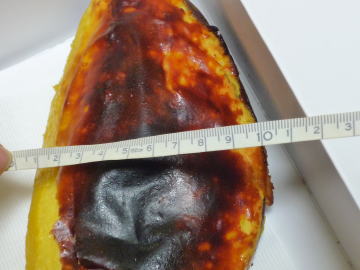 e0070606_2391982.jpg