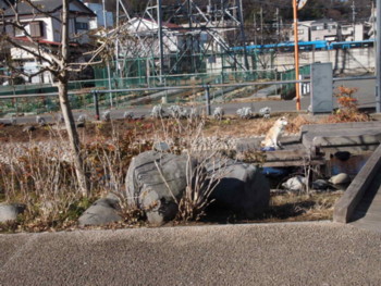 e0131506_2348194.jpg