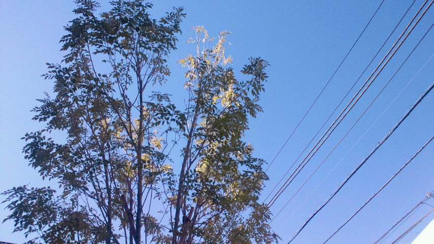 a0148408_92427100.jpg