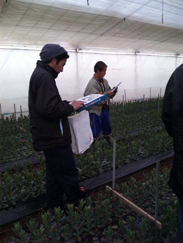 花職人定例会_d0099708_175466.jpg