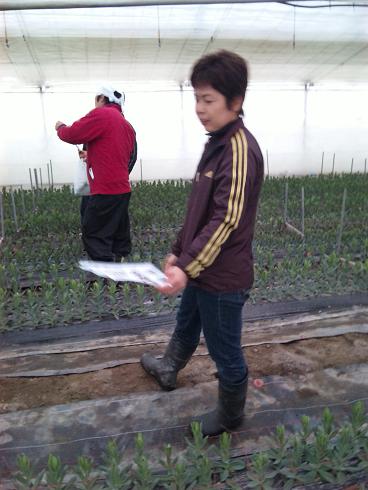 花職人定例会_d0099708_1764399.jpg