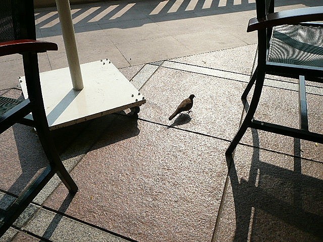 f0233310_13101637.jpg
