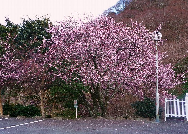f0182513_1954497.jpg