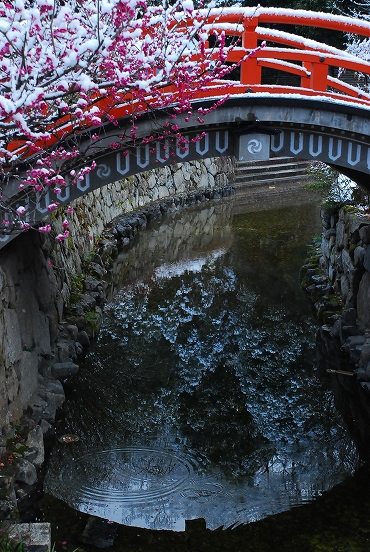 なごり雪　－　下鴨神社_a0114714_8325897.jpg