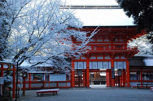 なごり雪　－　下鴨神社_a0114714_833577.jpg