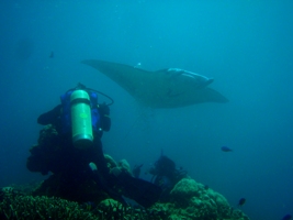 カニ違い_a0043520_4434798.jpg