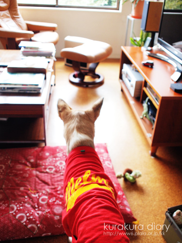 c0012120_2334199.jpg