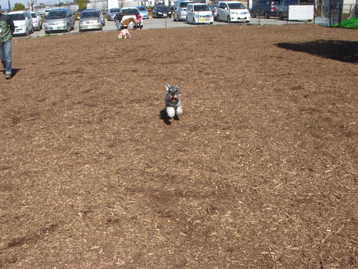 e0109622_16515078.jpg