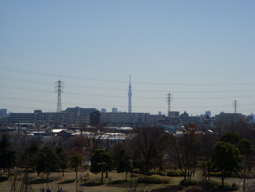 e0109622_16543367.jpg