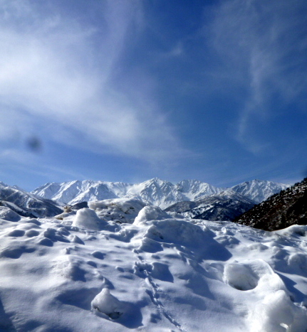 雪上遊山　in 白馬_c0039928_20324624.jpg