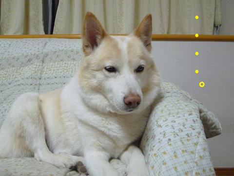 b0138430_2012043.jpg