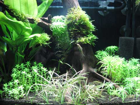 d0200130_225612.jpg