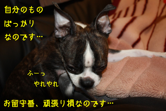 a0190132_23344716.jpg