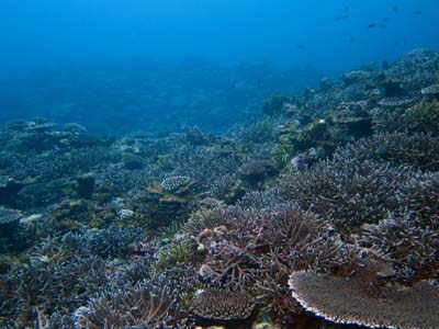 e0223032_22264975.jpg