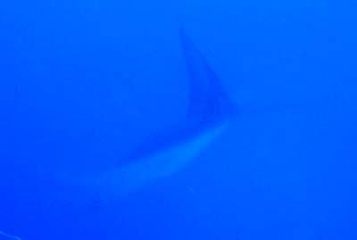 e0223032_2227238.jpg