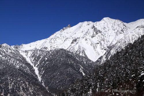 f0005733_2034304.jpg