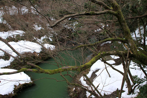 f0005733_749060.jpg
