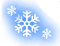 c0193234_1314537.gif