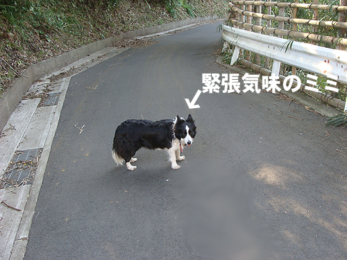 e0142838_10374891.jpg
