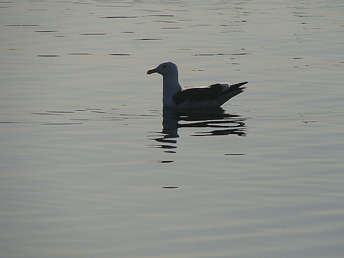 e0142838_1040079.jpg