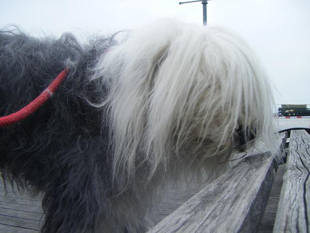 c0210546_1934042.jpg