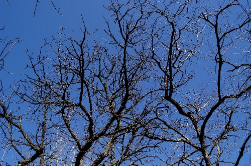 f0114346_11134471.jpg