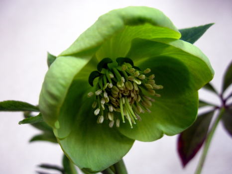 c0147952_2027045.jpg