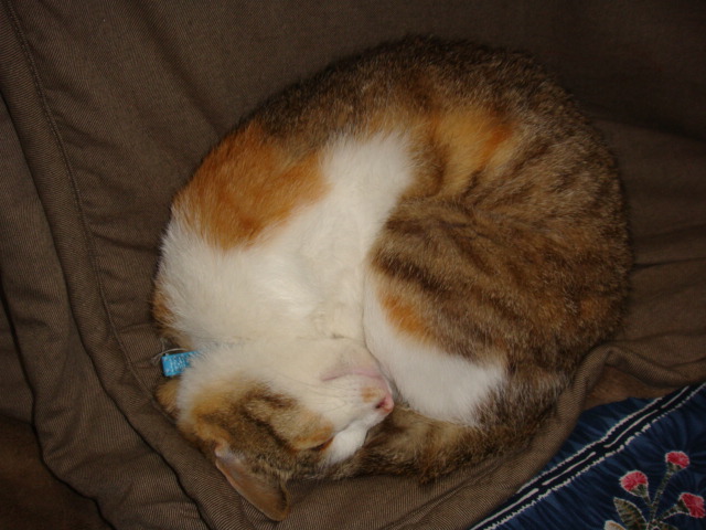 c0074157_2130567.jpg