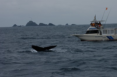 c0180460_17541637.jpg