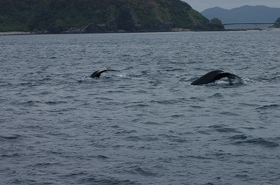 c0180460_17554515.jpg