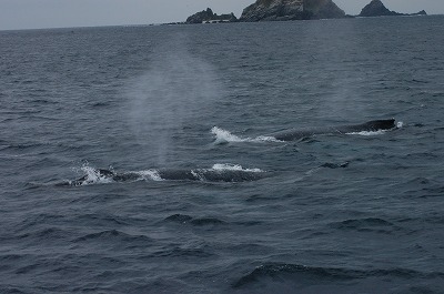 c0180460_1756211.jpg