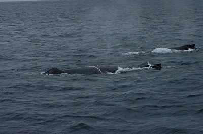 c0180460_17574780.jpg