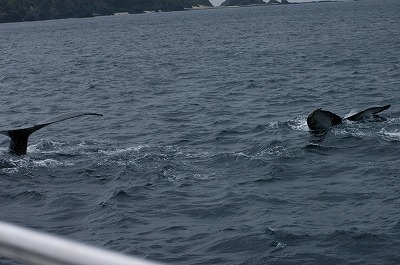 c0180460_1759235.jpg