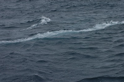 c0180460_17595274.jpg