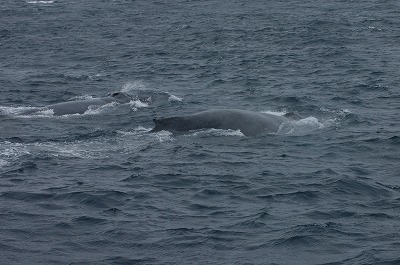 c0180460_1801450.jpg
