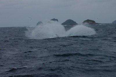 c0180460_1812944.jpg