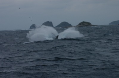 c0180460_181597.jpg
