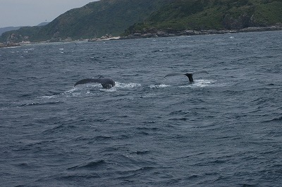 c0180460_1823489.jpg