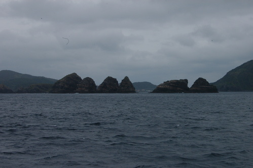c0180460_1881889.jpg