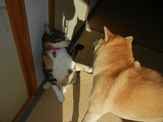 2011年3月5日(土)また、遼君が生き返った!_f0060461_16542223.jpg