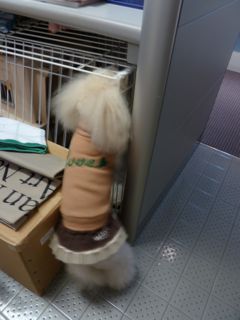 2011.3.5 土曜日_a0083571_16474622.jpg
